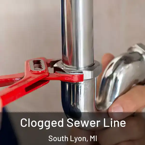  Clogged Sewer Line South Lyon, MI