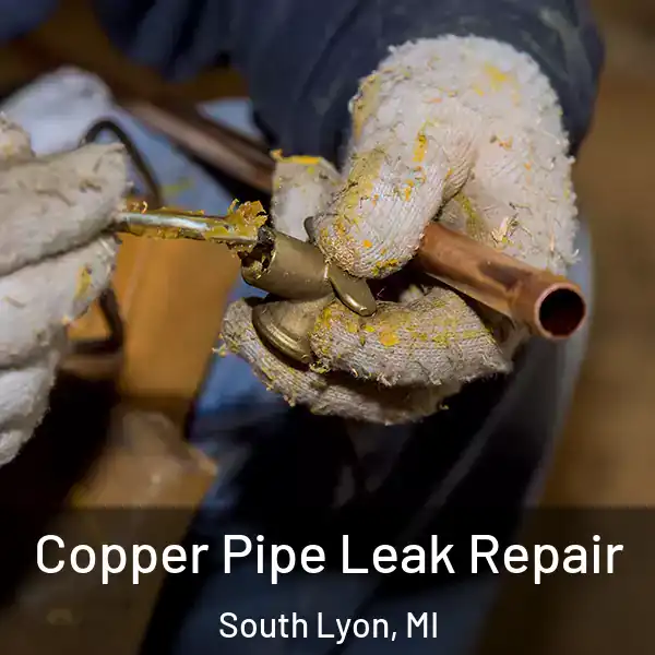  Copper Pipe Leak Repair South Lyon, MI