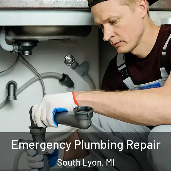  Emergency Plumbing Repair South Lyon, MI
