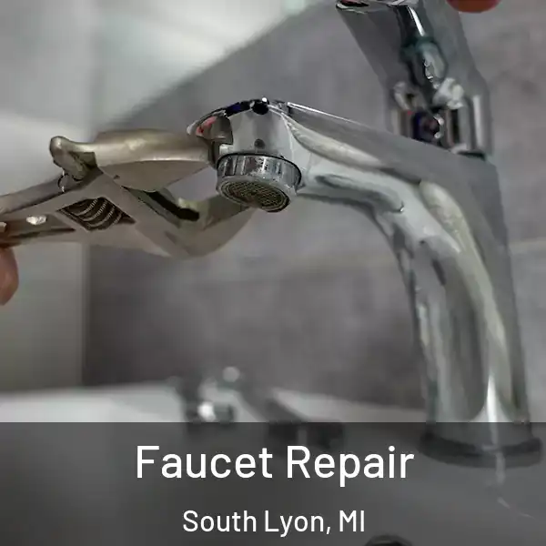  Faucet Repair South Lyon, MI