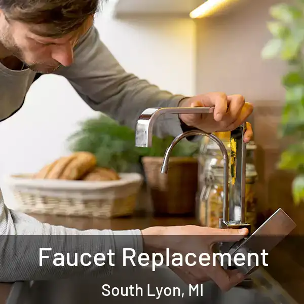  Faucet Replacement South Lyon, MI