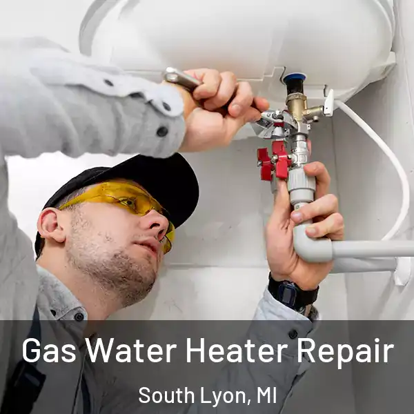  Gas Water Heater Repair South Lyon, MI