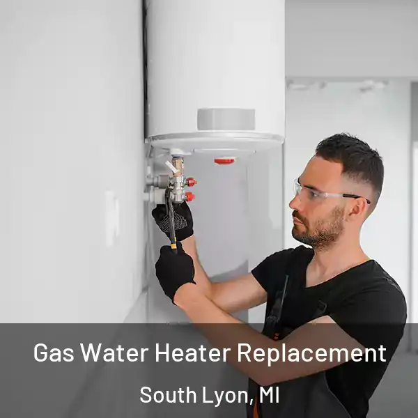  Gas Water Heater Replacement South Lyon, MI