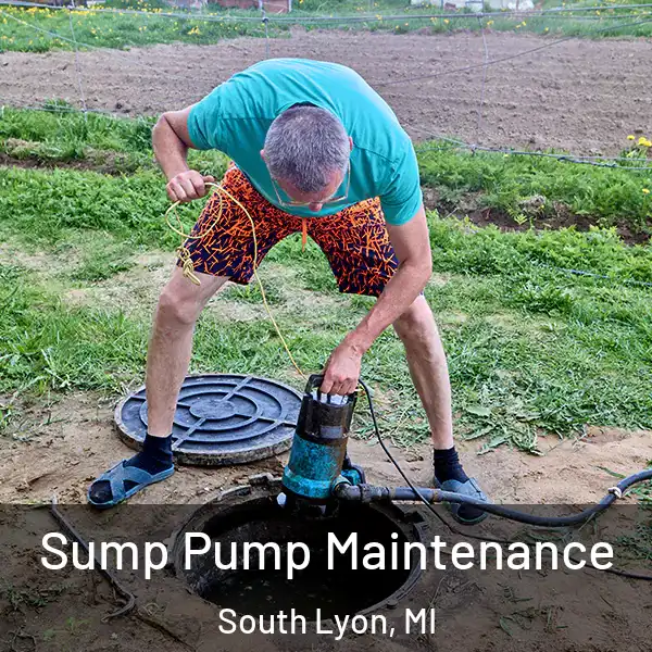  Sump Pump Maintenance South Lyon, MI