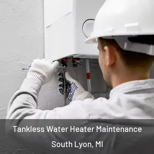  Tankless Water Heater Maintenance South Lyon, MI