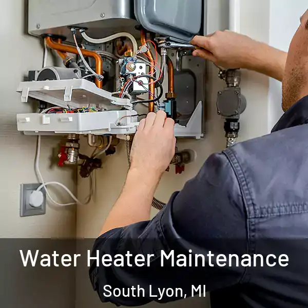  Water Heater Maintenance South Lyon, MI