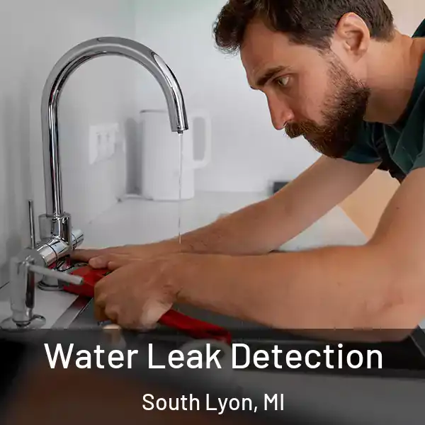  Water Leak Detection South Lyon, MI